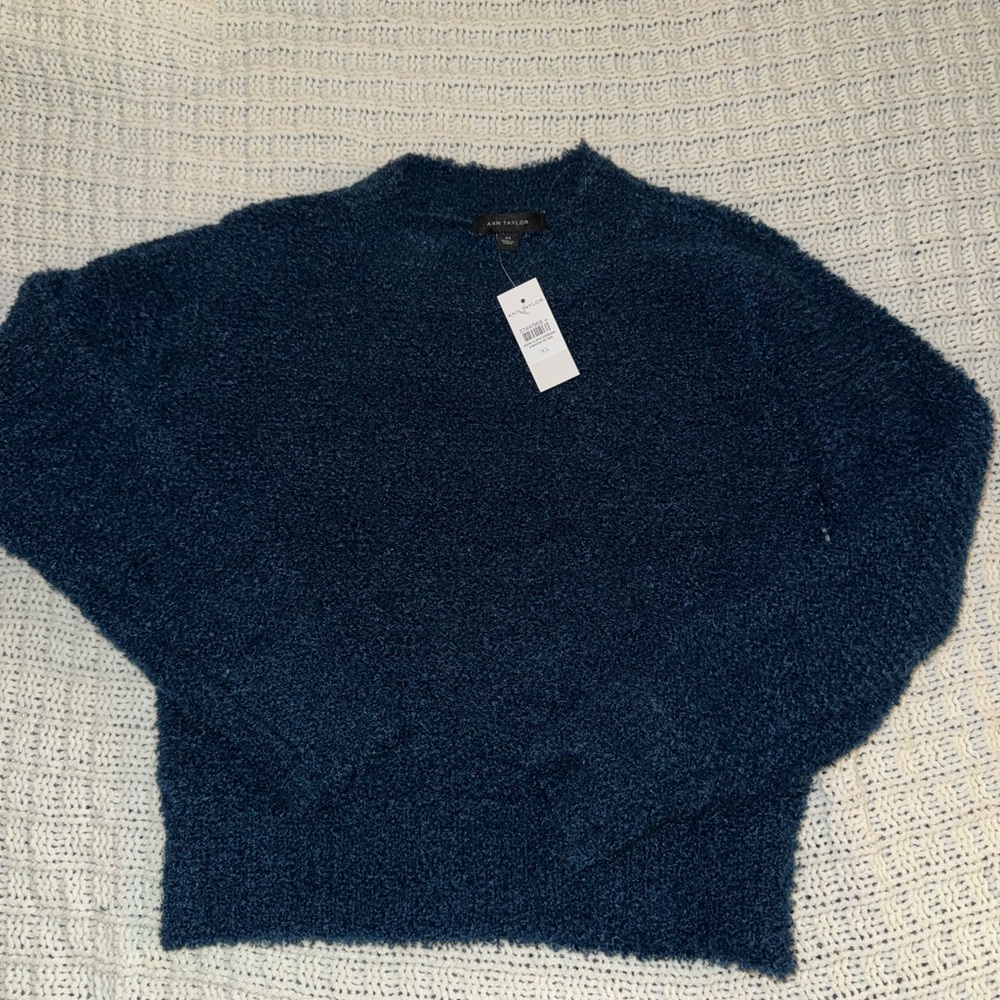 Ann Taylor sweater/sweatshirt